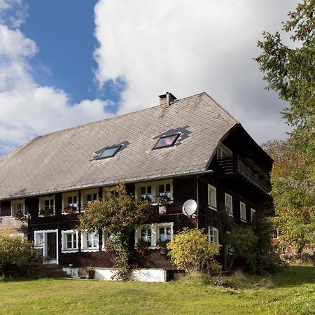 Waelder: Quartier Dachsberg Villa Dachsberg im Schwarzwald Dış mekan fotoğraf